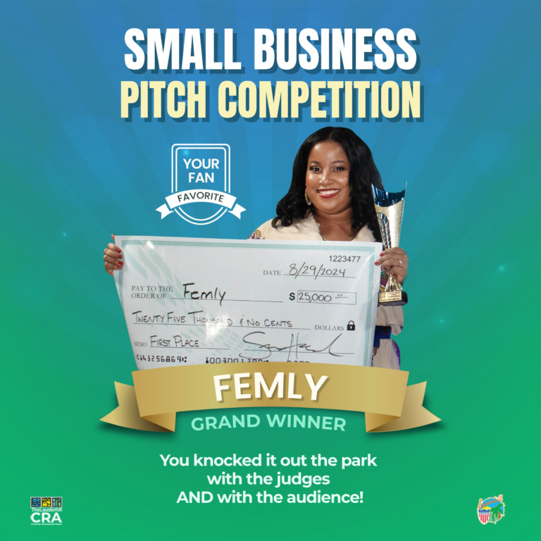 Pitch Winners 2024 TOP 1